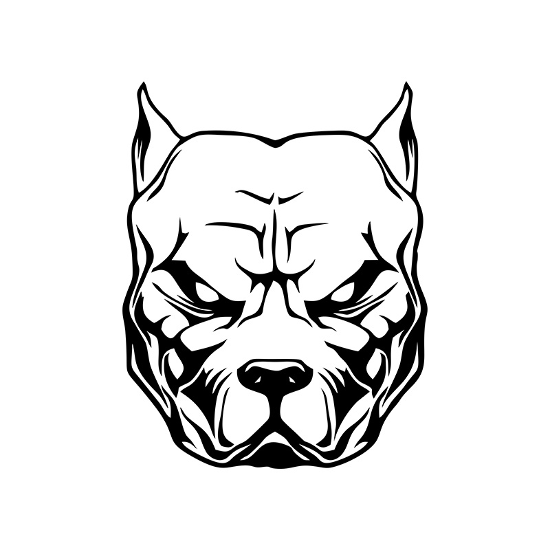 Adesivo moto modello cane pit  - Motorcycle Gear For Dogs recensione e prezzo