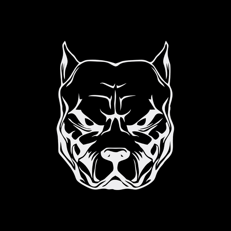 Adesivo moto modello cane pit  - Motorcycle Gear For Dogs recensione e prezzo