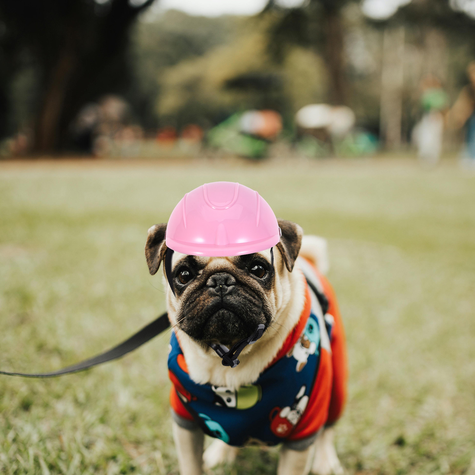 Casco Protettivo Regolabile pe - Motorcycle Gear For Dogs recensione e prezzo