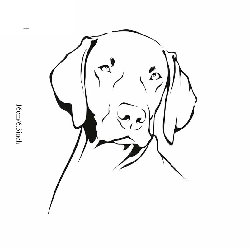 Adesivo in vinile PVC impermea - Motorcycle Gear For Dogs recensione e prezzo