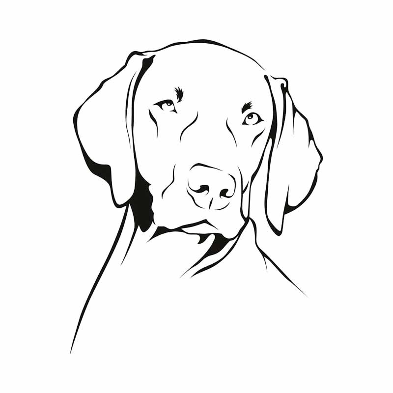 Adesivo in vinile PVC impermea - Motorcycle Gear For Dogs recensione e prezzo