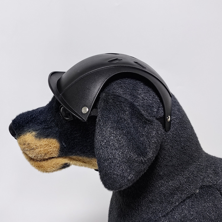 Casco di sicurezza per cani di - Motorcycle Gear For Dogs recensione e prezzo