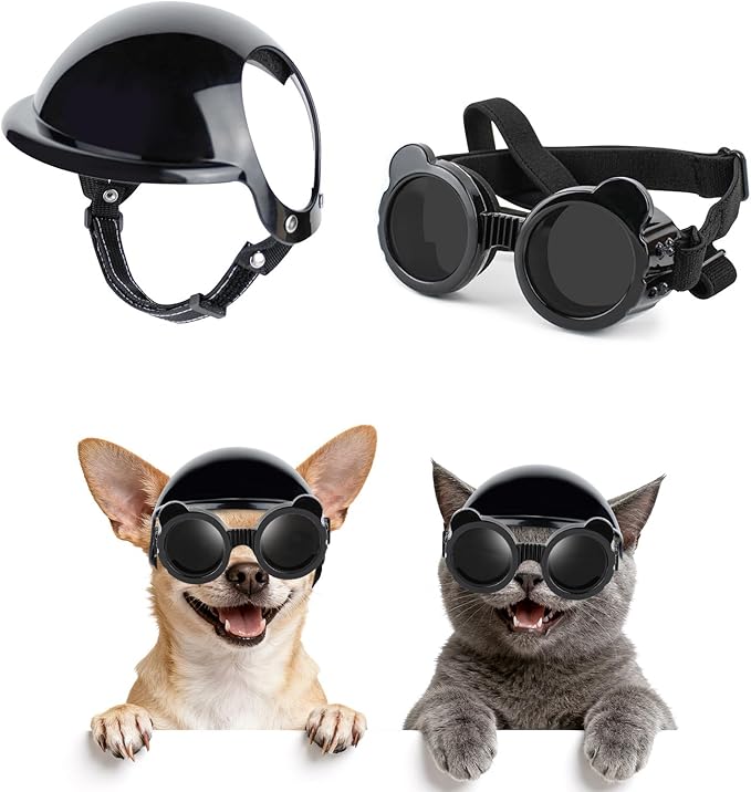 Casco Moto per Gatti, Cappello - Motorcycle Gear For Dogs recensione e prezzo