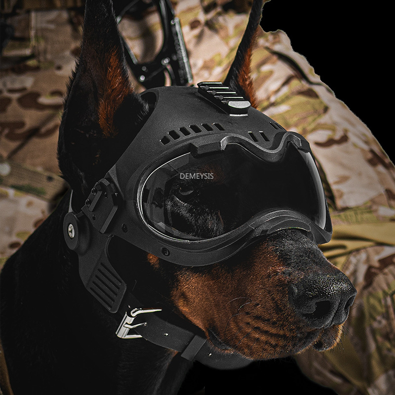 Casco per cani da caccia all'a - Motorcycle Gear For Dogs recensione e prezzo