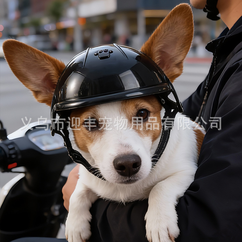 Casco Rosa per Moto con Fori p - Motorcycle Gear For Dogs recensione e prezzo