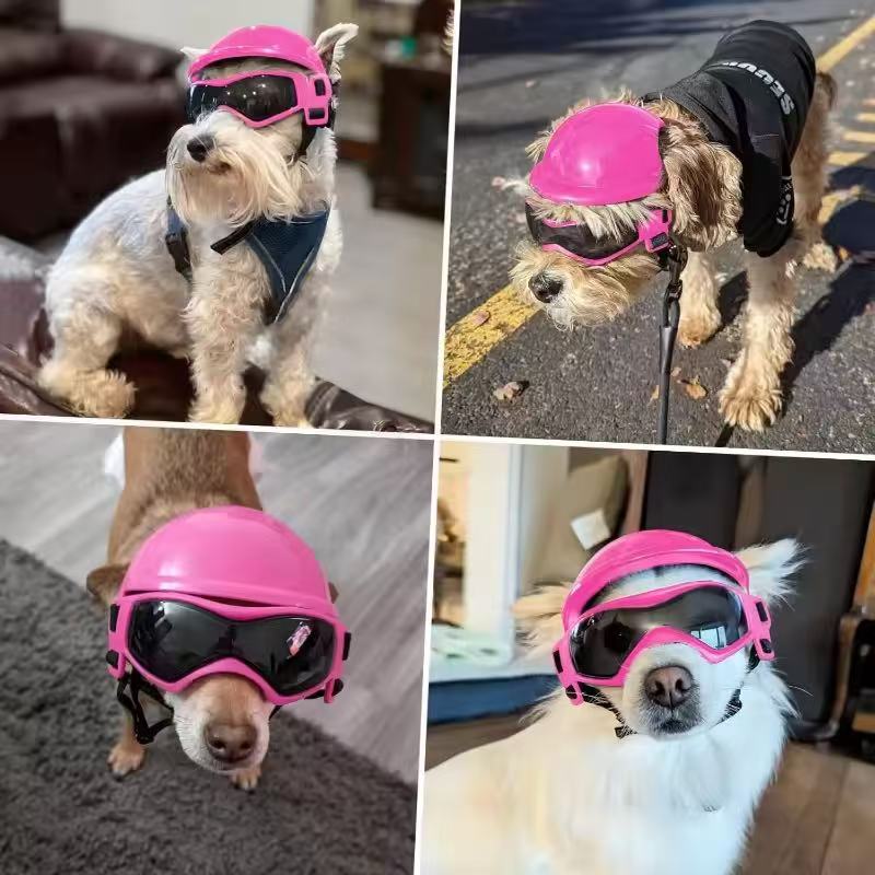 Set Casco e Occhiali da Moto p - Motorcycle Gear For Dogs recensione e prezzo