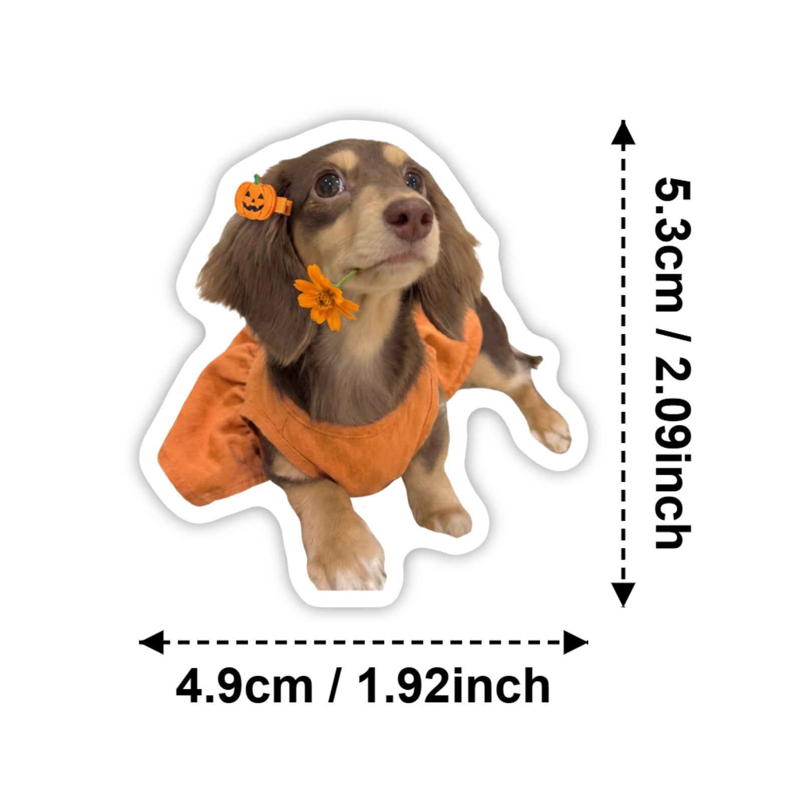 50 Pezzi Adesivi HD a Forma di - Motorcycle Gear For Dogs recensione e prezzo