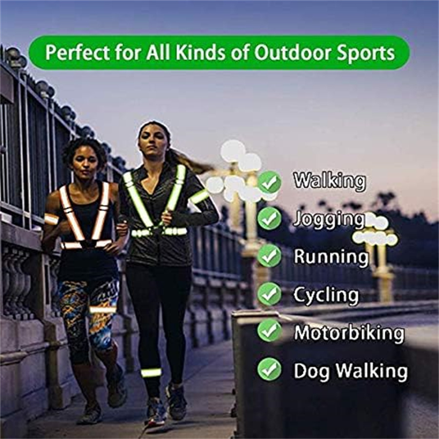 Set di 2 Gilet di Sicurezza Re - Motorcycle Gear For Dogs recensione e prezzo