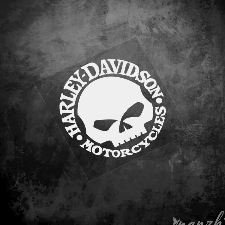 Adesivi Teschio Protettivi per - Motorcycle Gear Companies recensione e prezzo