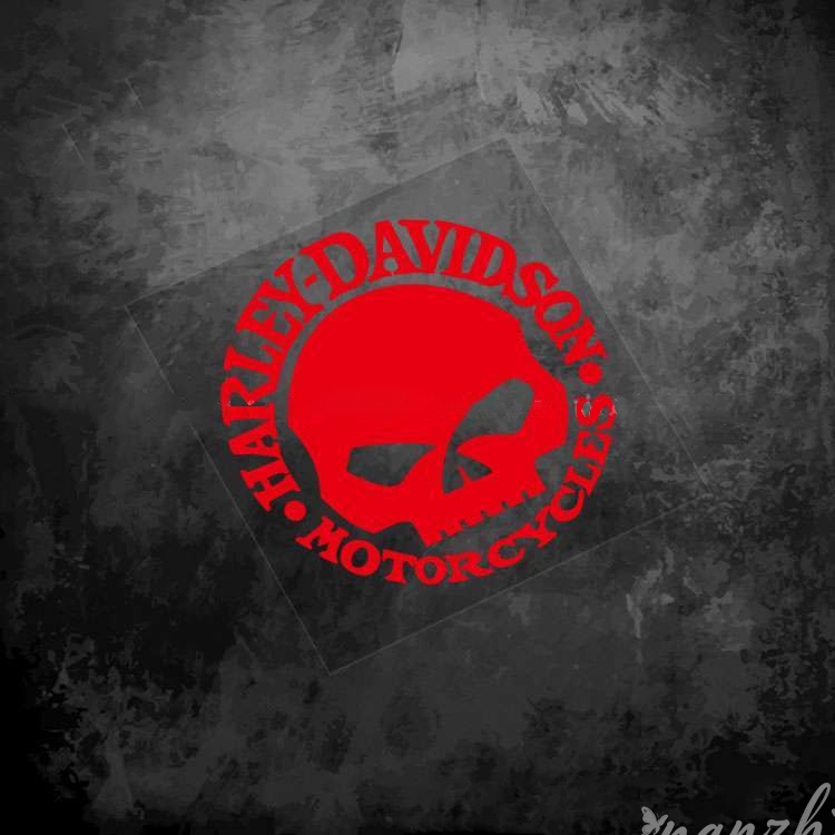 Adesivi Teschio Protettivi per - Motorcycle Gear Companies recensione e prezzo