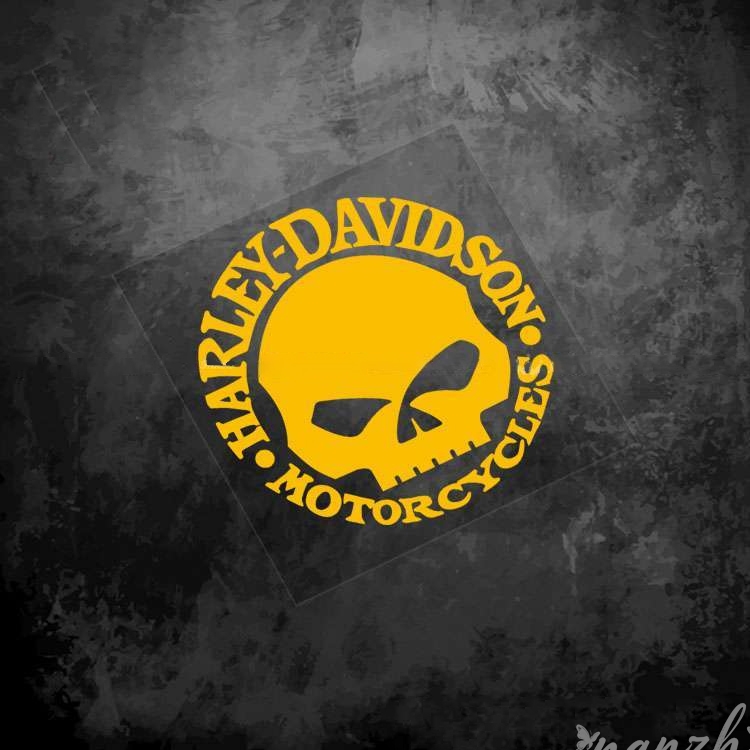 Adesivi Teschio Protettivi per - Motorcycle Gear Companies recensione e prezzo